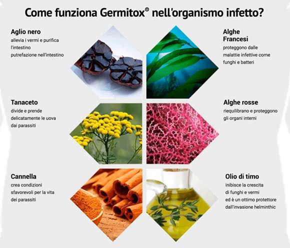germitox ingredienti